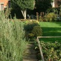 Gardener's Guided Walk at Hill Close Gardens